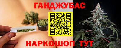 стаф Боровичи