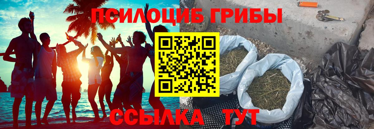 Солнечногорск  Галлюциногенные грибы Magic Shrooms  Вход с VPN 